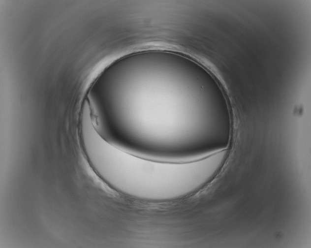 X0000111631381200907311216