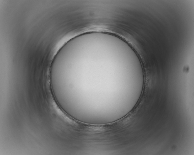 X0000111631382200907311216