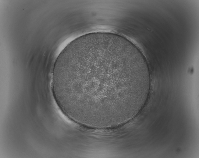 X0000111631383200907311216