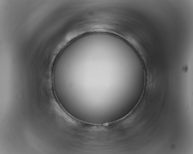 X0000111631384200907311216