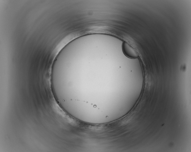 X0000111631386200907311216