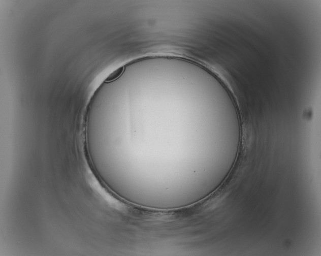 X0000111631387200907311216