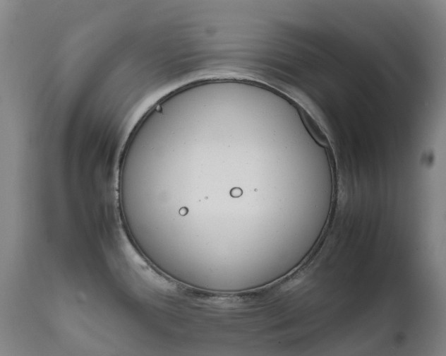 X0000111631388200907311216