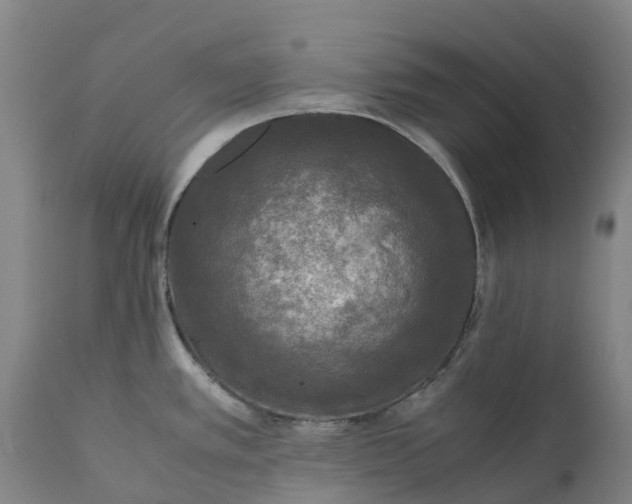 X0000111631389200907311216