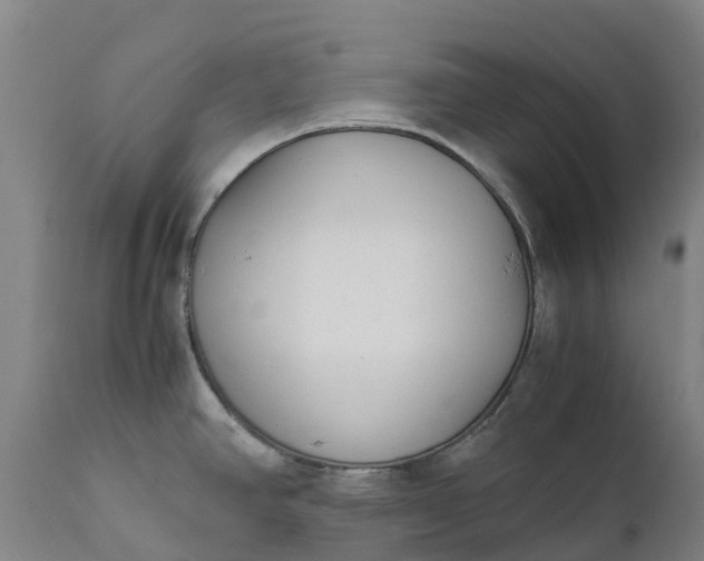 X0000111631390200907311216