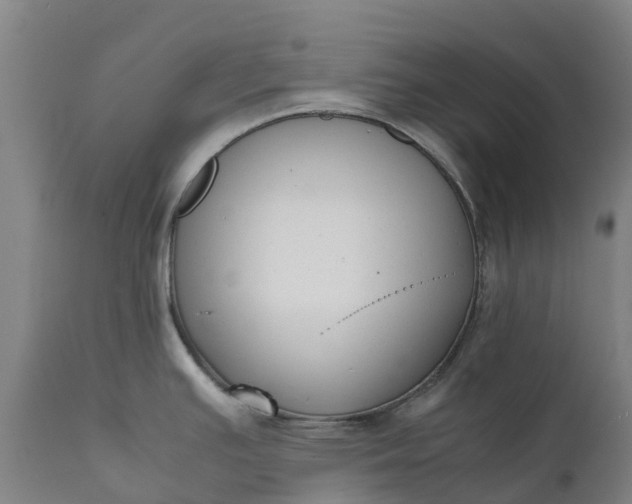 X0000111631391200907311216