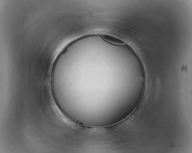 X0000111631392200907311216