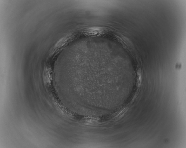 X0000111631394200907311215