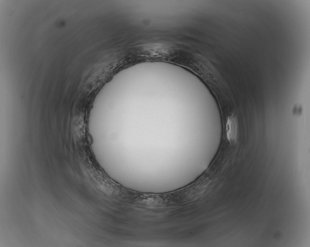 X0000111631395200907311215