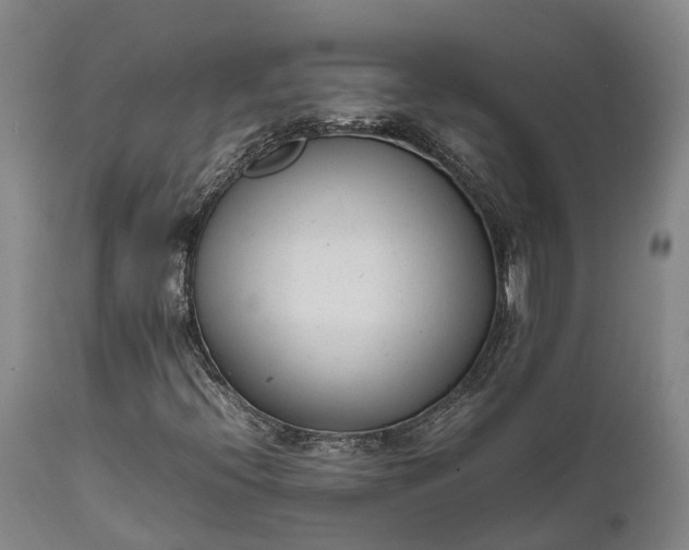 X0000111631396200907311215