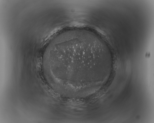 X0000111631397200907311215