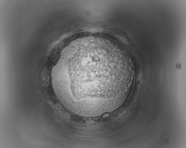 X0000111631398200907311215