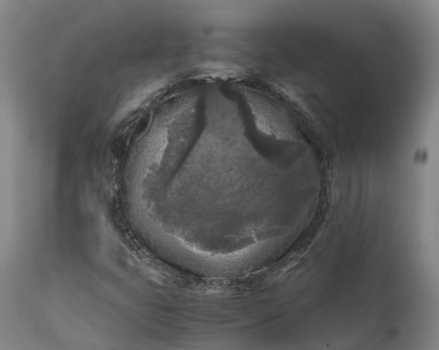 X0000111631399200907311215