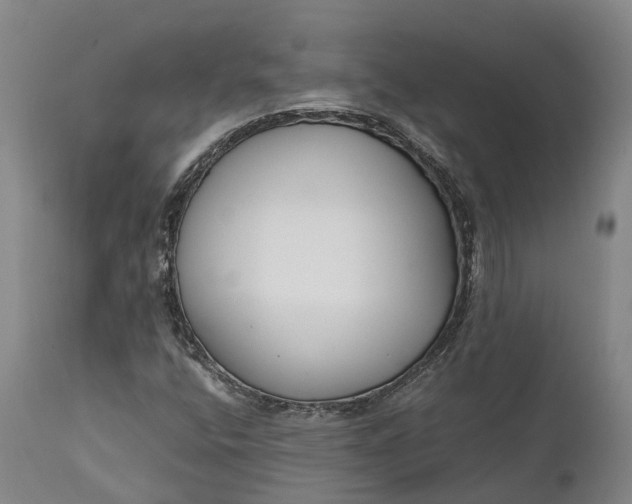 X0000111631400200907311215