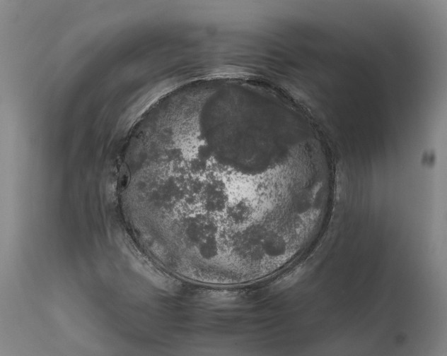 X0000111631401200907311215