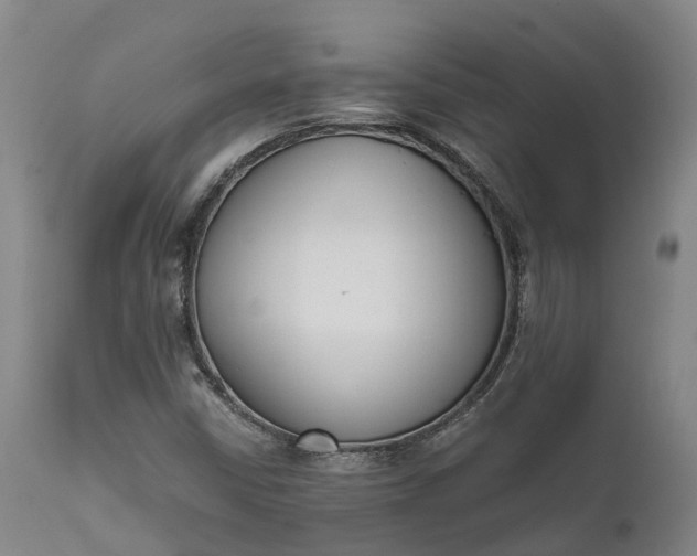 X0000111631402200907311215