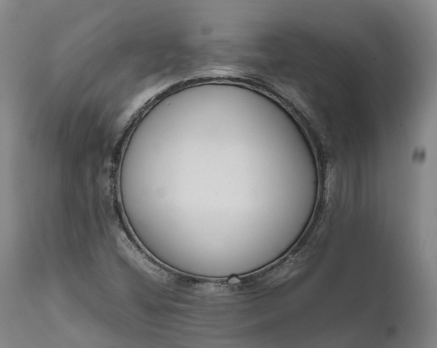 X0000111631404200907311215