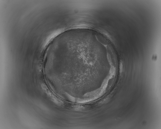 X0000111631405200907311215