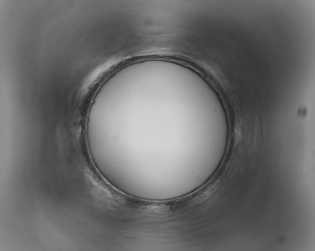 X0000111631406200907311215