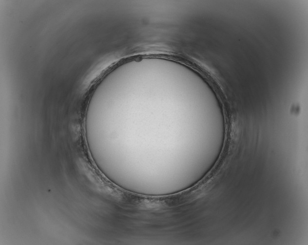 X0000111631407200907311216