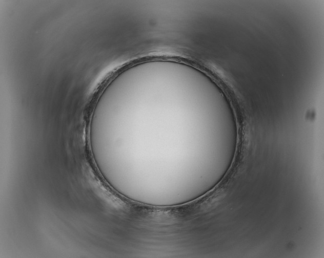 X0000111631408200907311216