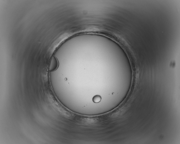 X0000111631409200907311216