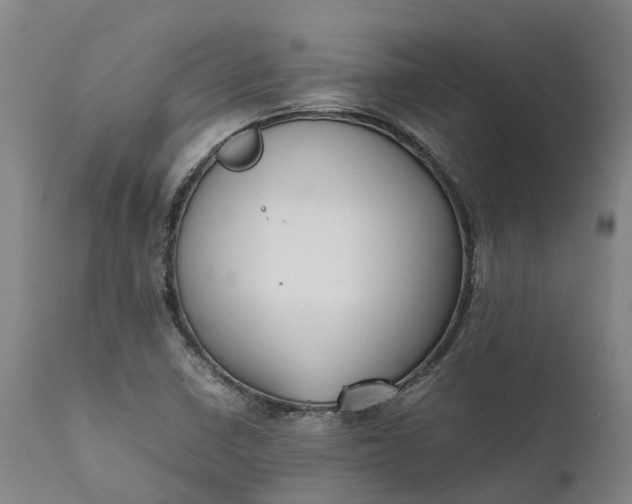 X0000111631410200907311216