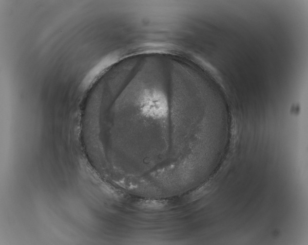 X0000111631411200907311216