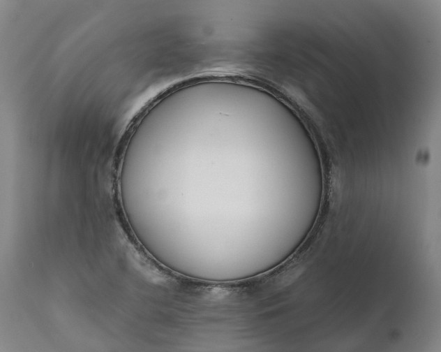 X0000111631412200907311216