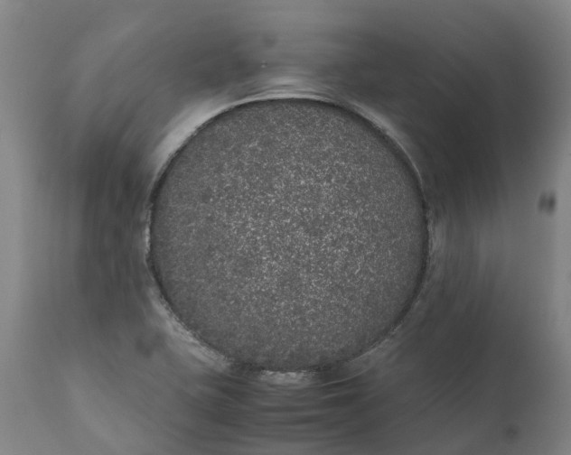 X0000111631415200907311216