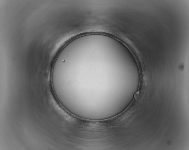 X0000111631416200907311216