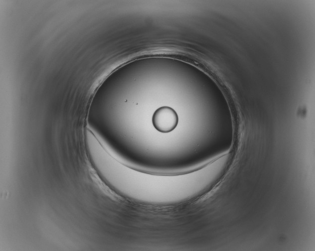 X0000111631417200907311216