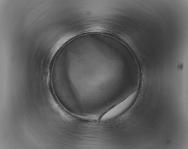 X0000111631418200907311216