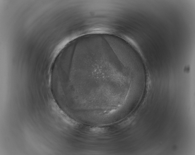 X0000111631419200907311216