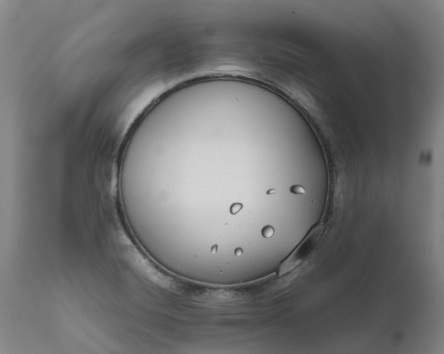 X0000111631420200907311216