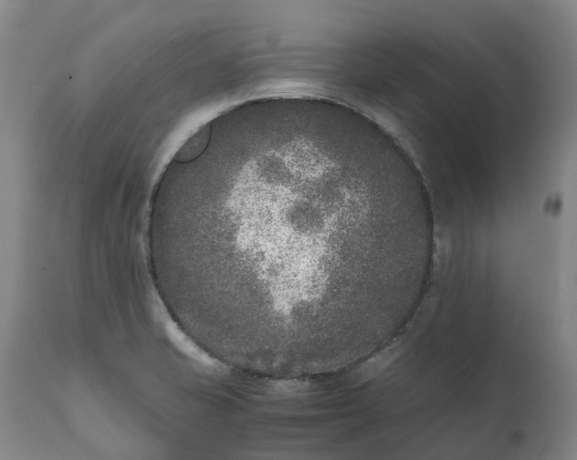 X0000111631421200907311216