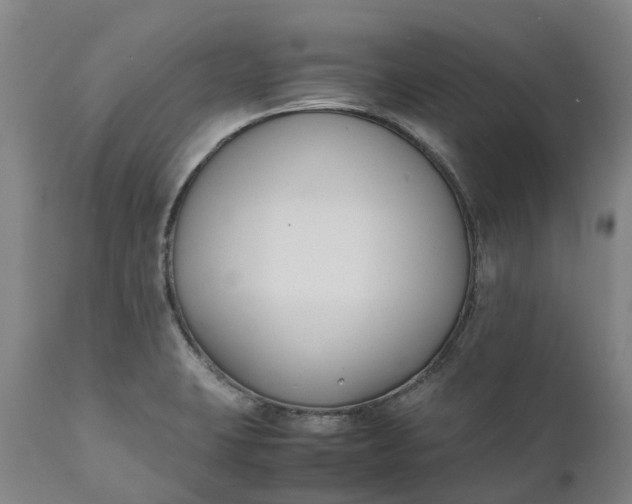 X0000111631423200907311216