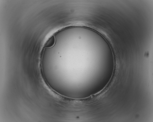 X0000111631424200907311216