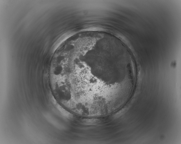 X0000111631425200907311216