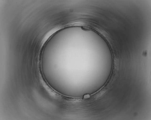 X0000111631426200907311216