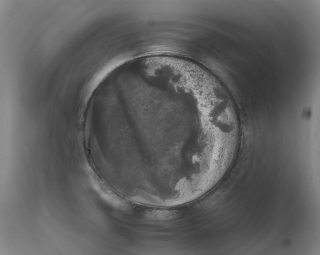 X0000111631427200907311216