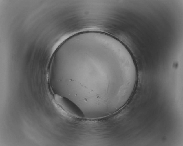 X0000111631428200907311216