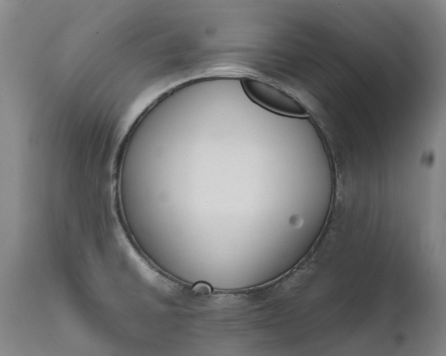 X0000111631430200907311216