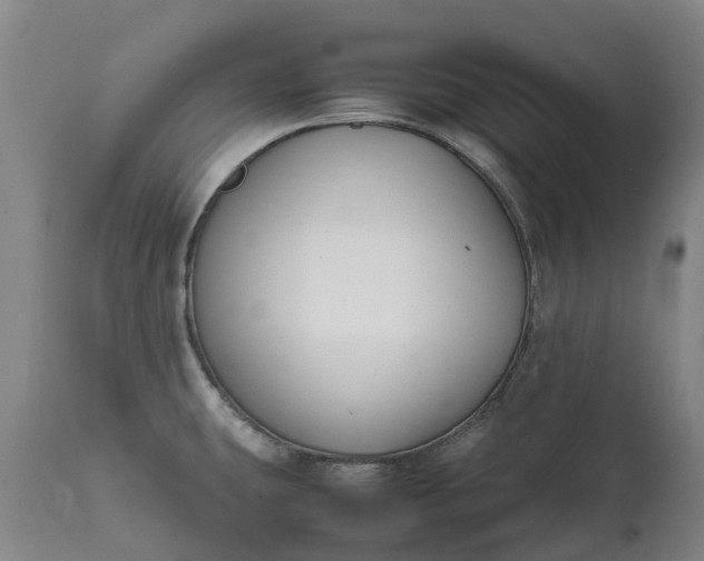 X0000111631431200907311216