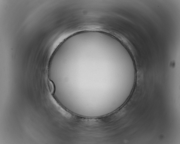 X0000111631432200907311216