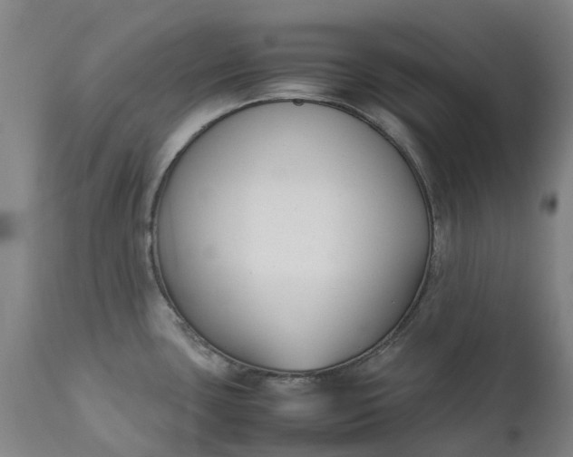 X0000111631435200907311216