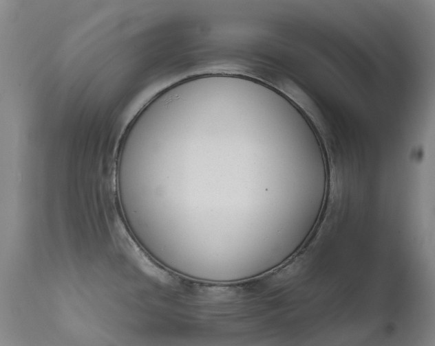 X0000111631436200907311216