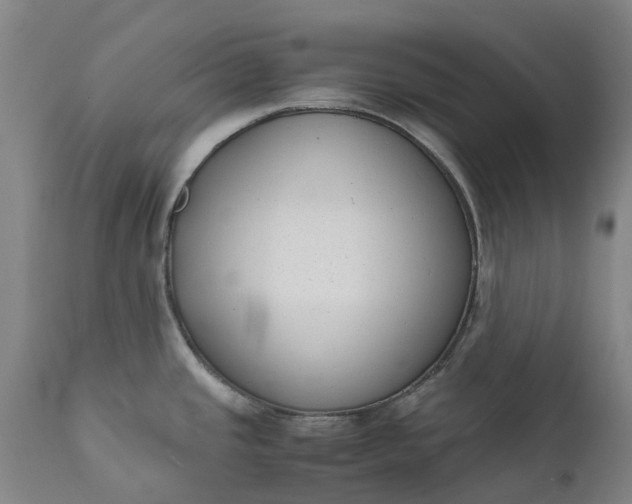 X0000111631437200907311216