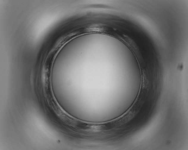 X0000111631438200907311216