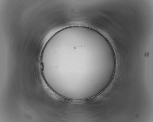 X0000111631440200907311216